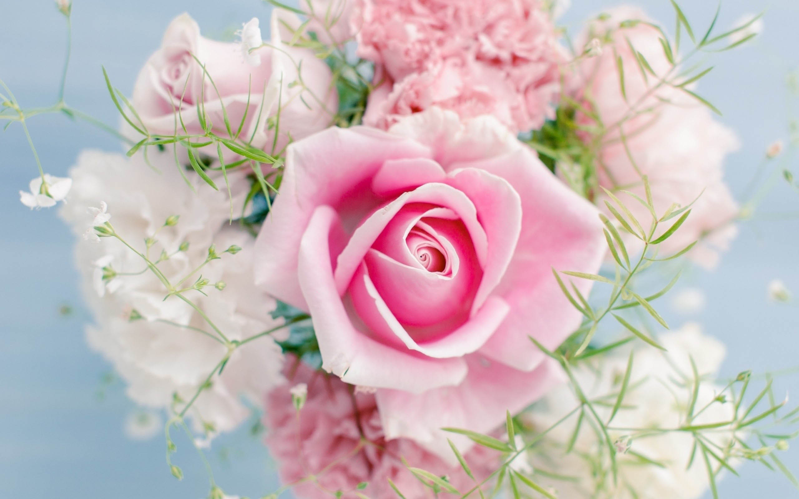 dpの壁紙,花,ピンク,庭のバラ,ローズ,花束