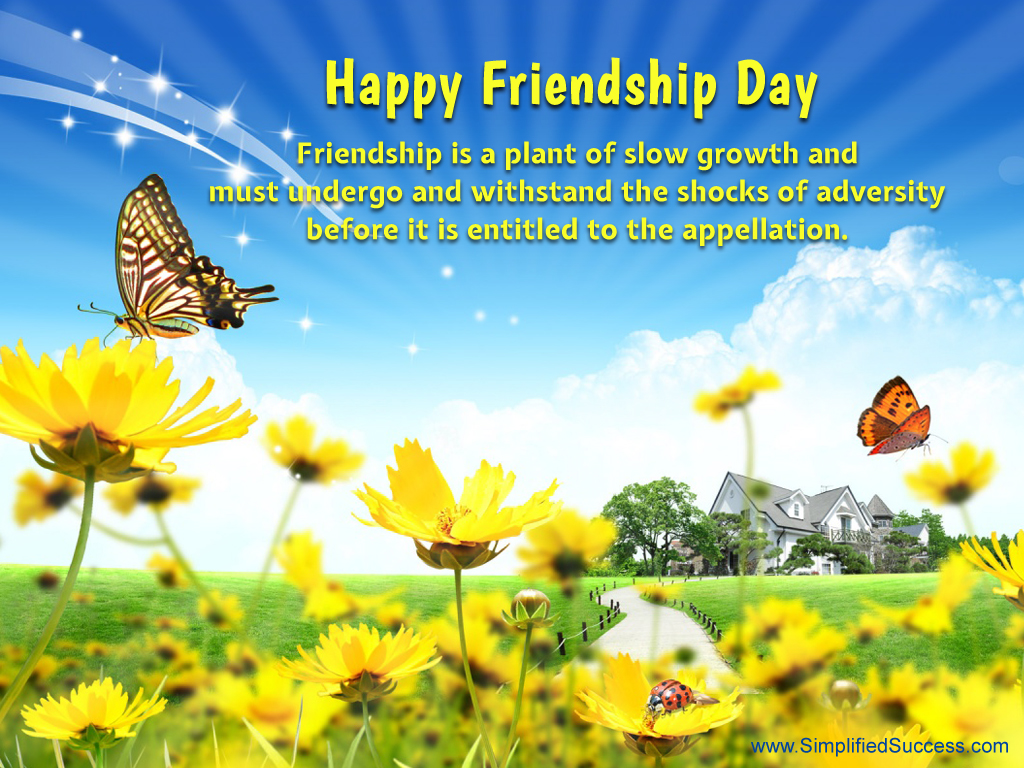 friendship day wallpapers,butterfly,nature,insect,natural environment,prairie