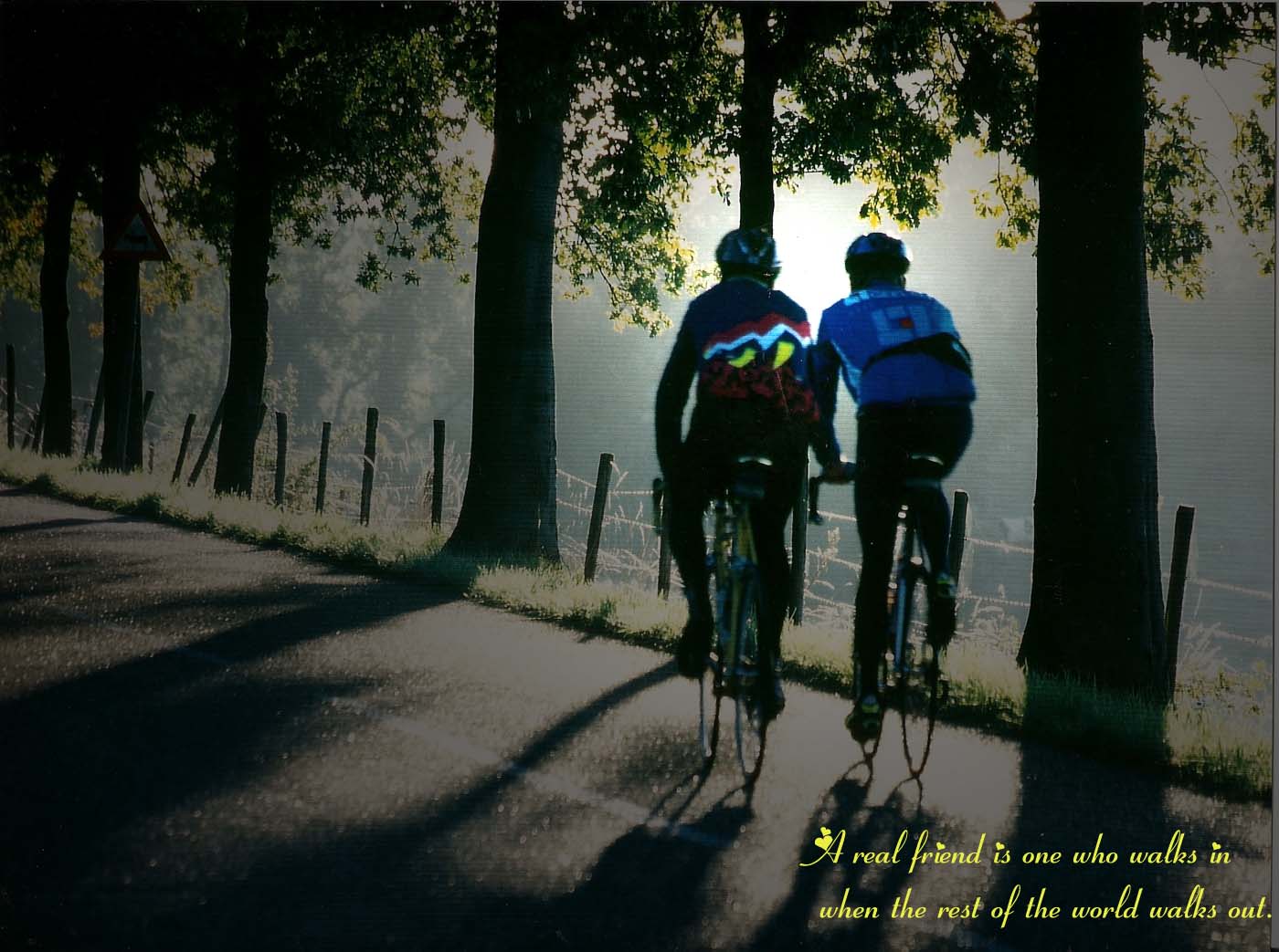 sfondi giorno dell'amicizia,ciclismo,bicicletta,ciclismo su strada,ricreazione all'aperto,natura