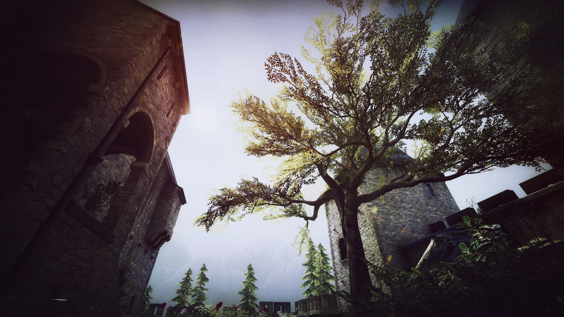 csgo wallpaper,nature,tree,sky,natural landscape,atmospheric phenomenon