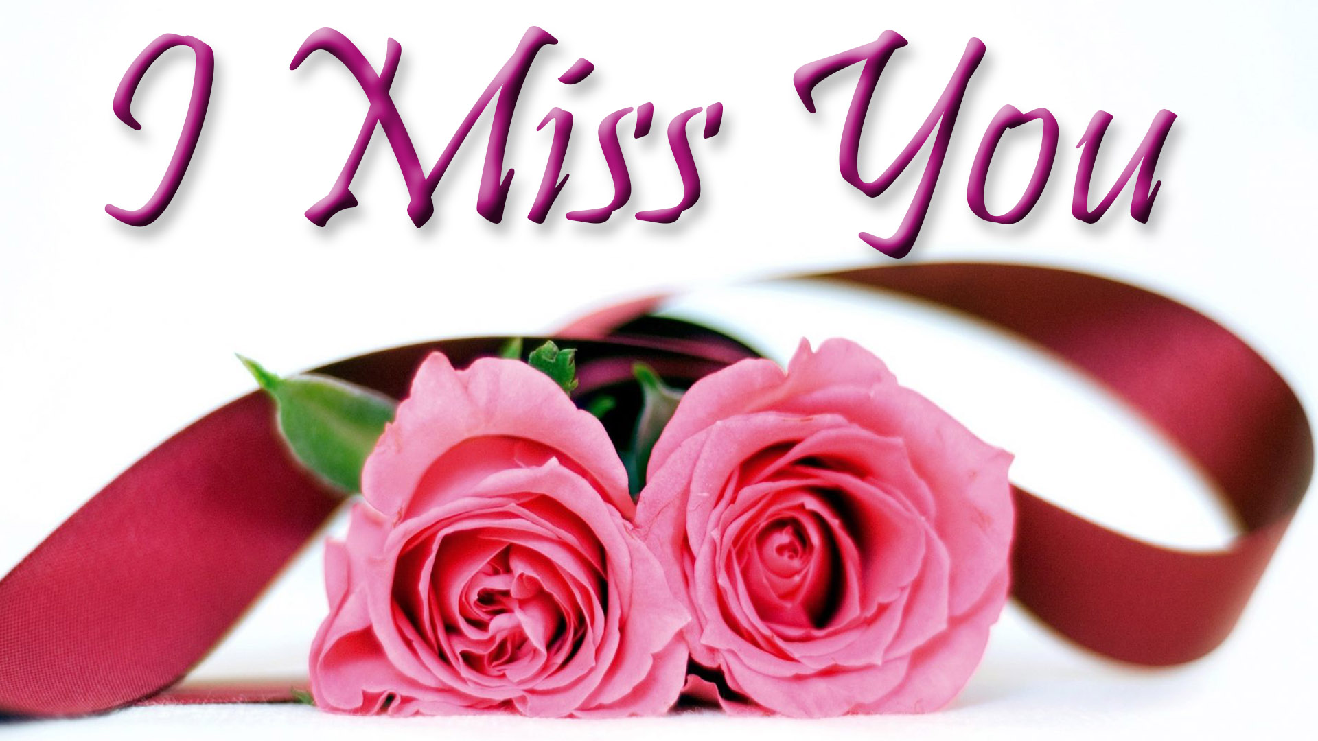 i miss you wallpaper,pink,garden roses,rose,flower,text