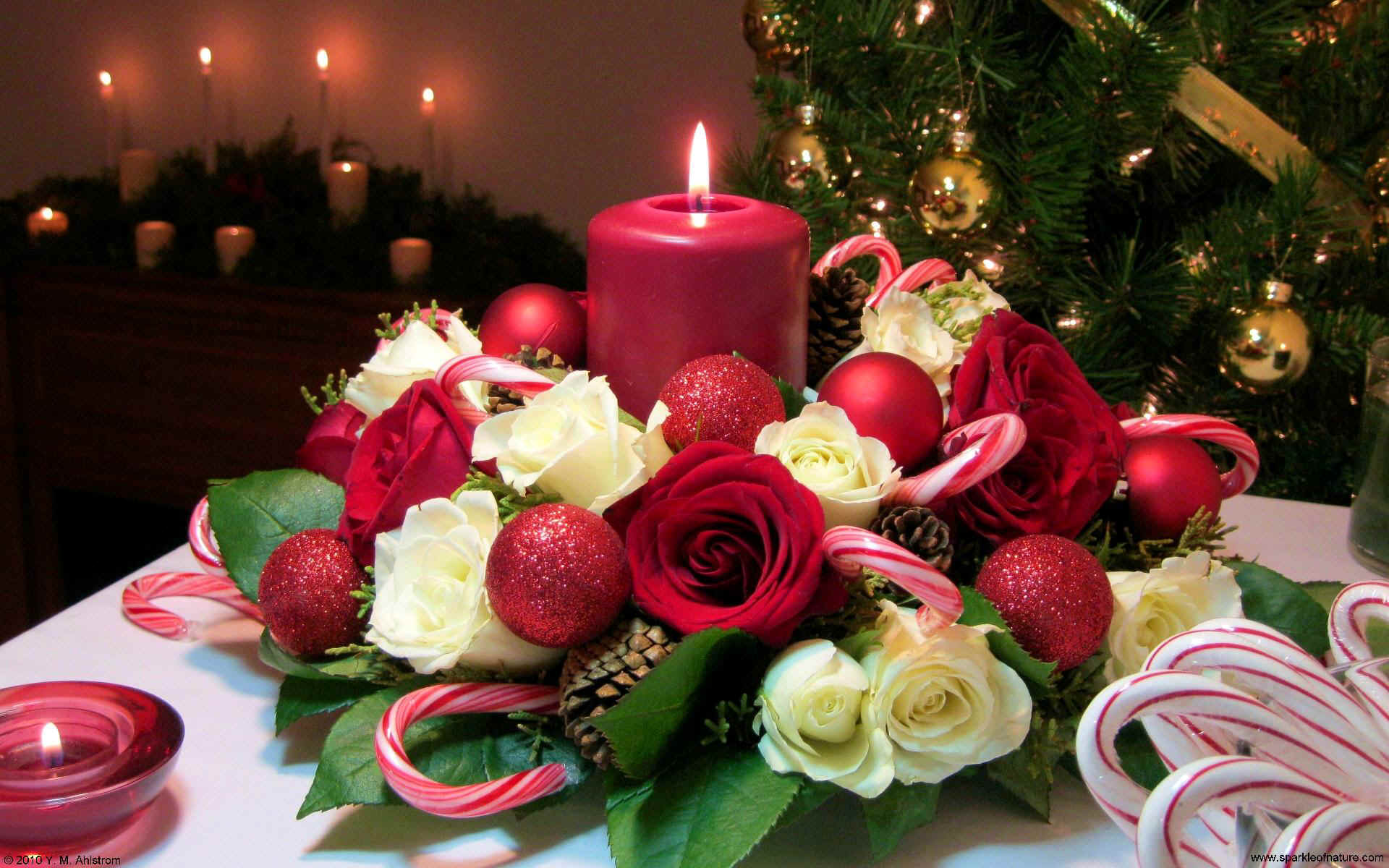 fondo de pantalla romántico hd,vela,habitación central,arreglos florales,decoración navideña,encendiendo