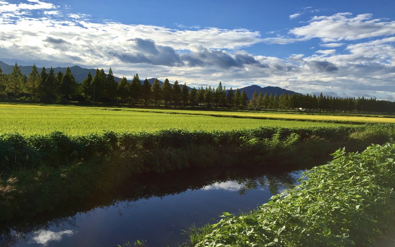 私はあなたの壁紙が恋しい,自然の風景,自然,反射,水資源,空