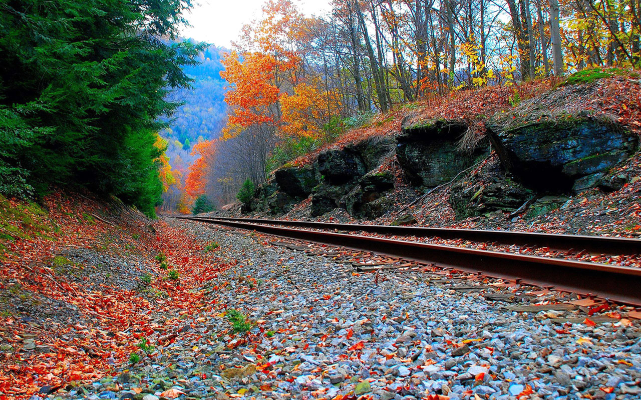 romantic wallpaper hd,leaf,nature,tree,autumn,transport