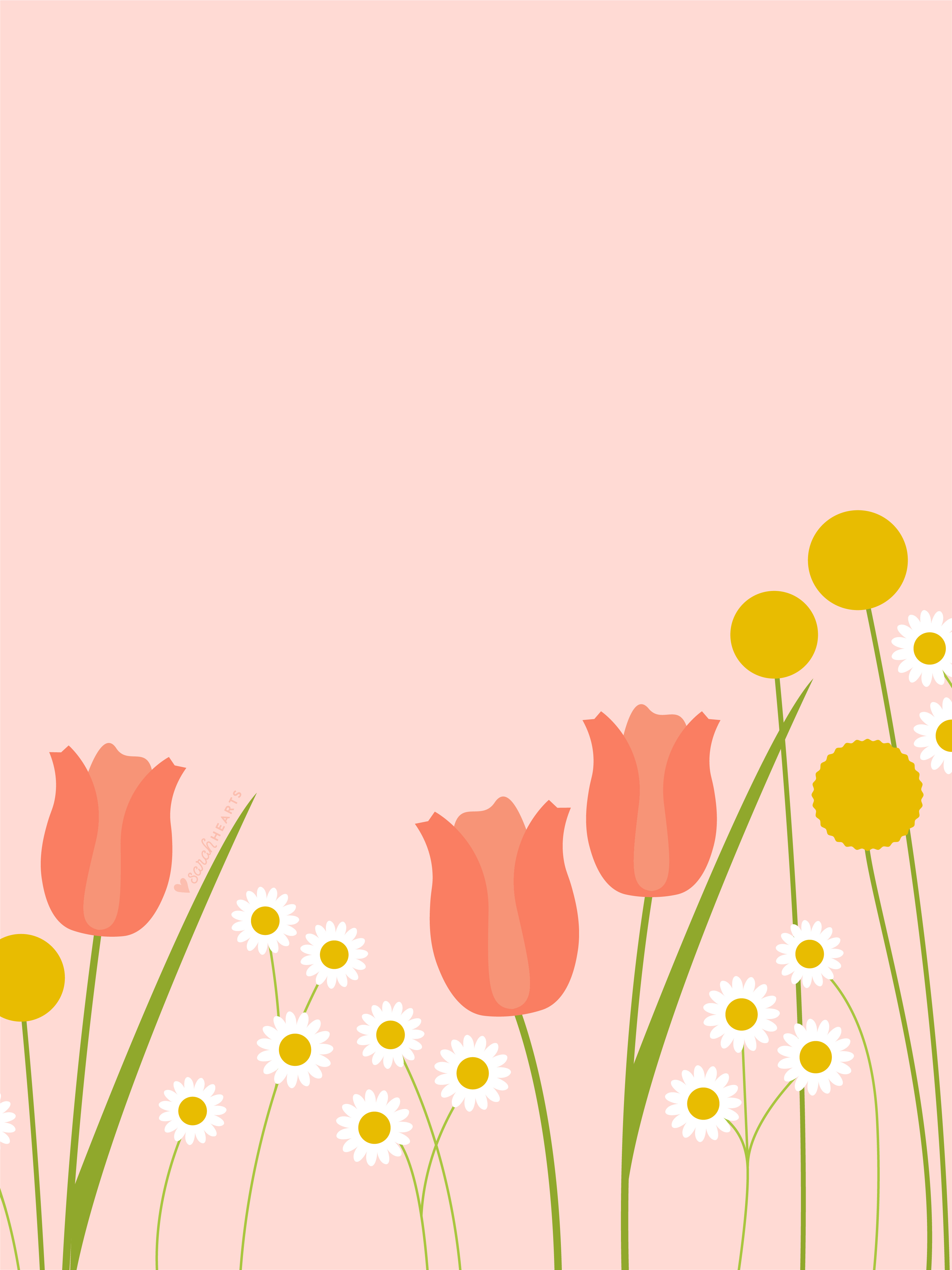 carta da parati 2017,giallo,fiore,tulipano,illustrazione,pianta