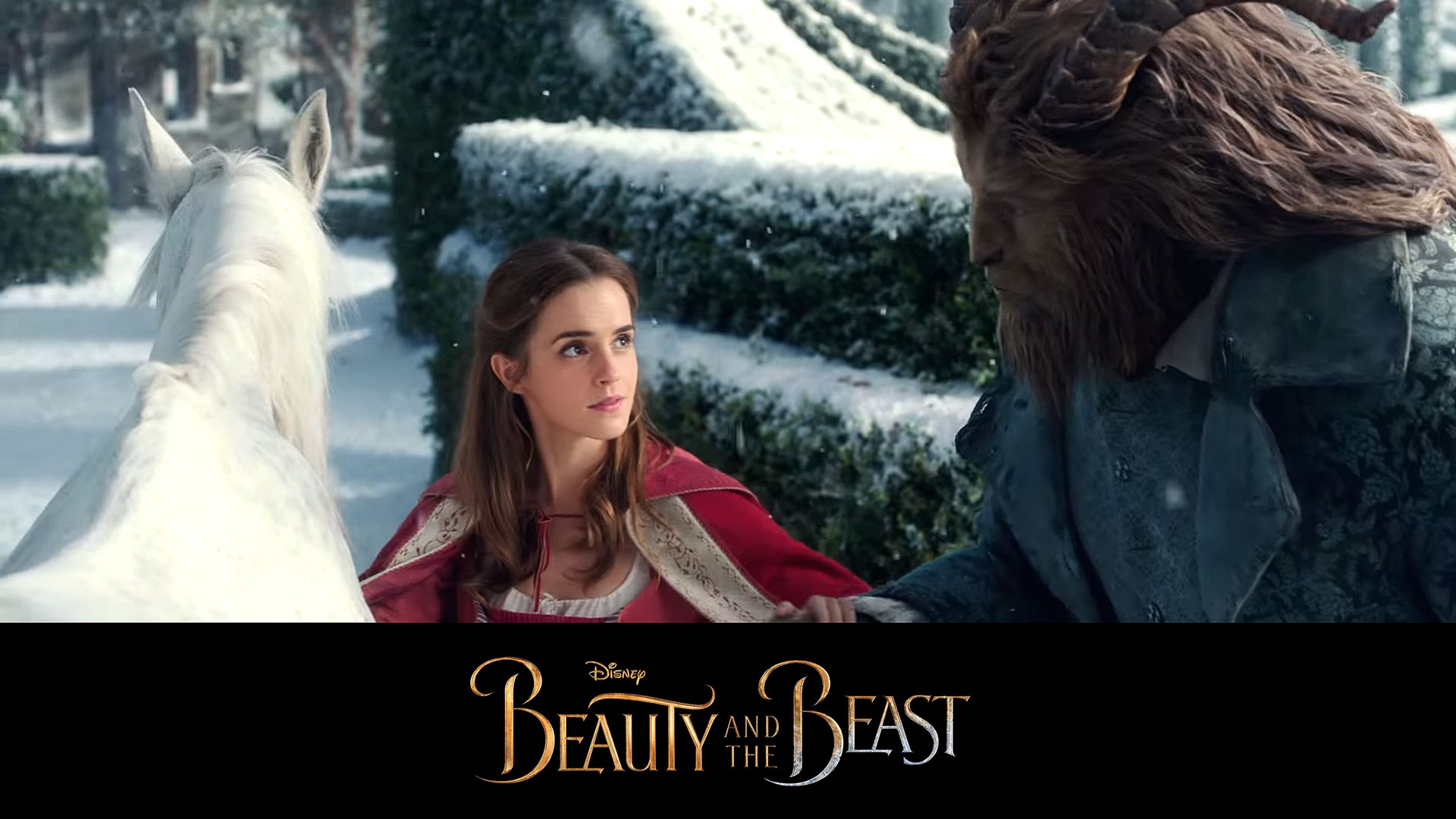 beauty and the beast wallpaper,friendship,beauty,adaptation,photography,photo caption