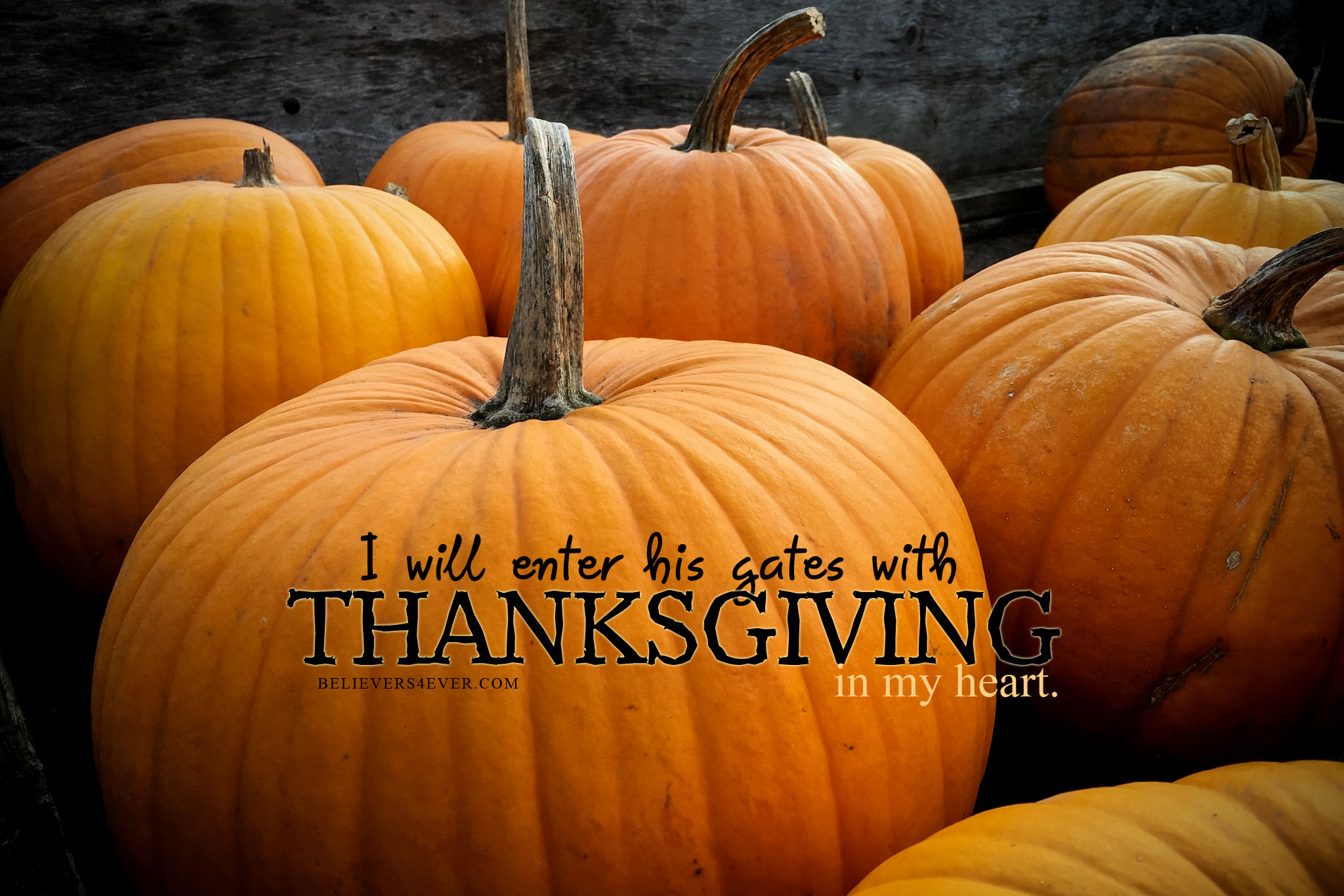 bible verse wallpaper,natural foods,pumpkin,calabaza,winter squash,cucurbita