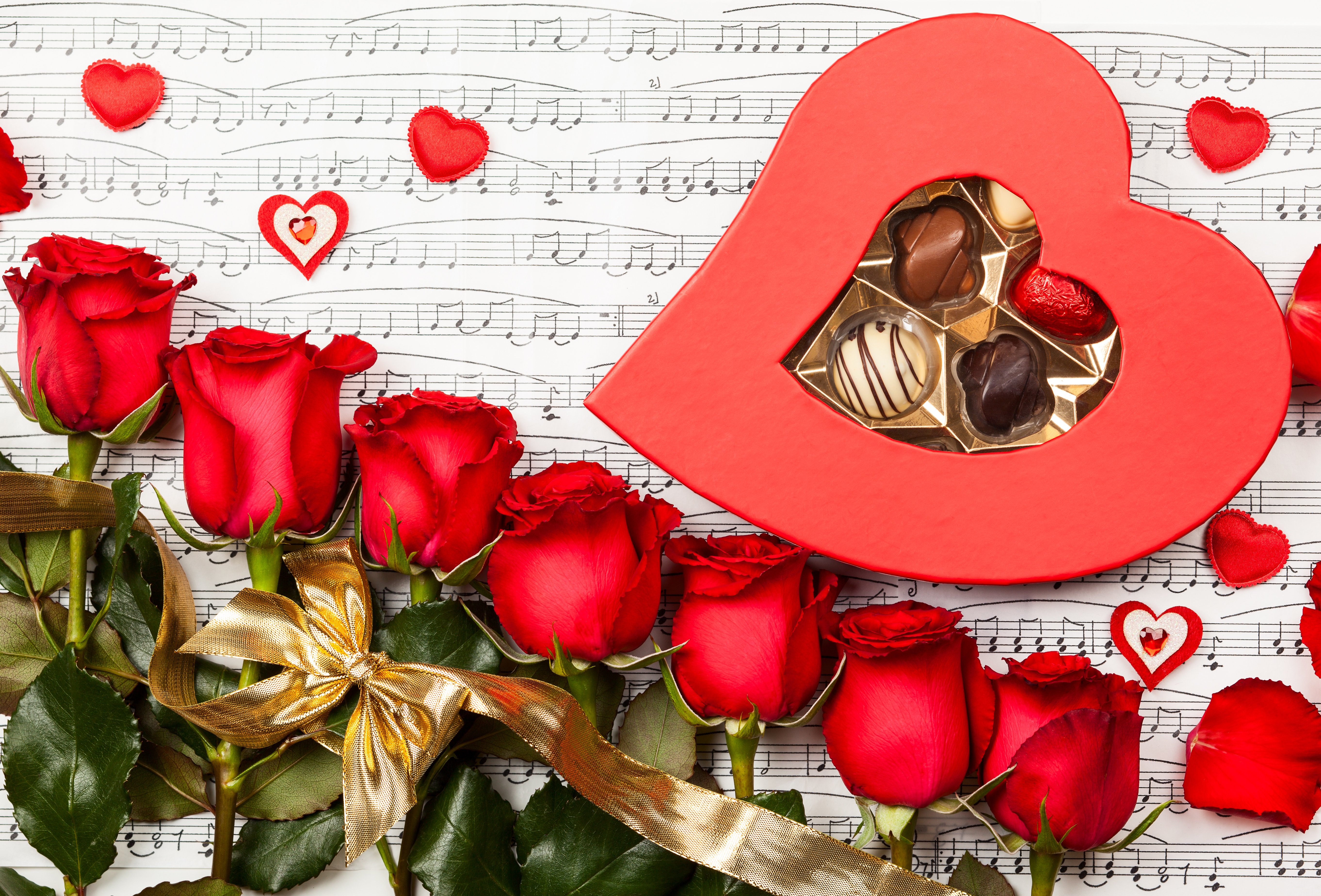 red rose wallpaper,red,valentine's day,heart,flower,petal
