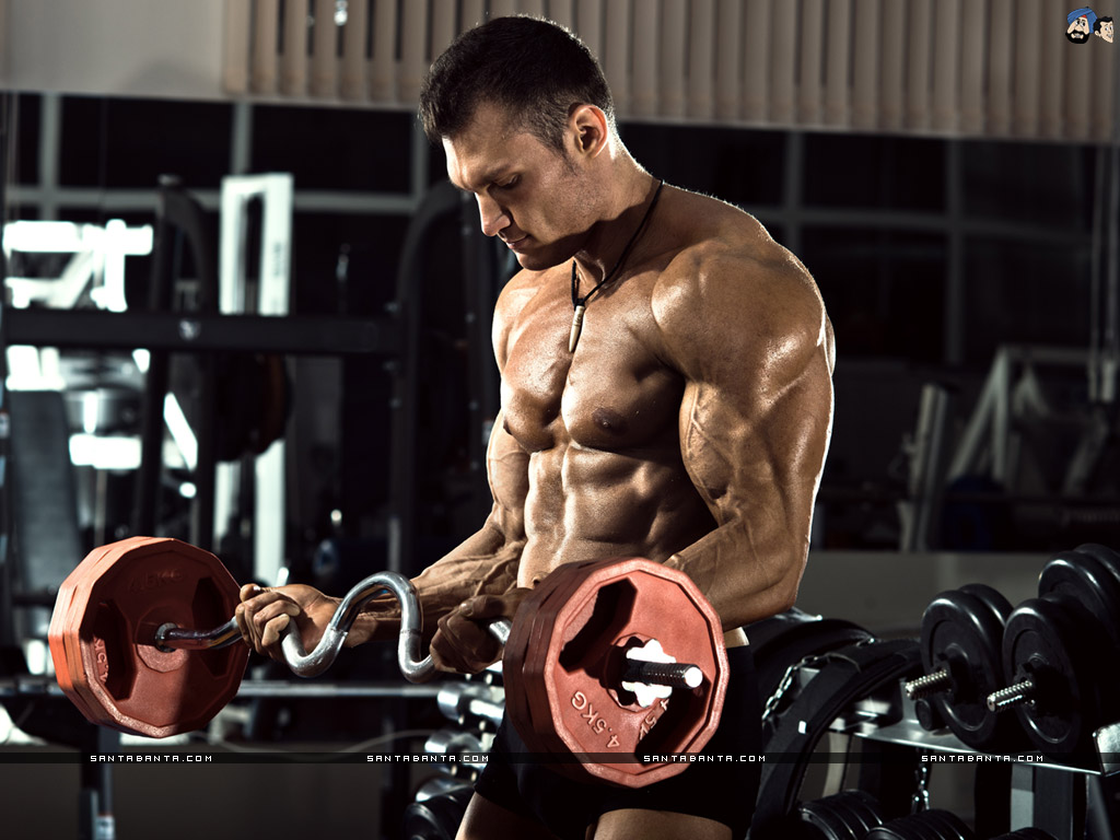 bodybuilding wallpaper,bodybuilding,muscle,barechested,bodybuilder,shoulder