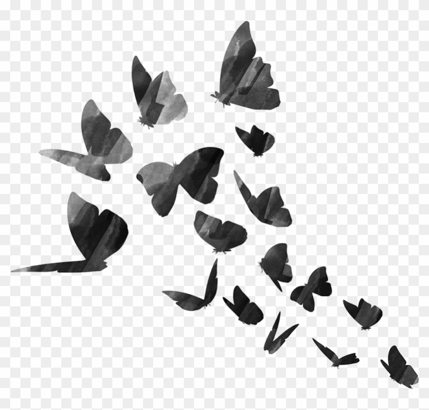 sticker wallpaper,leaf,plant,black and white,butterfly,monochrome photography