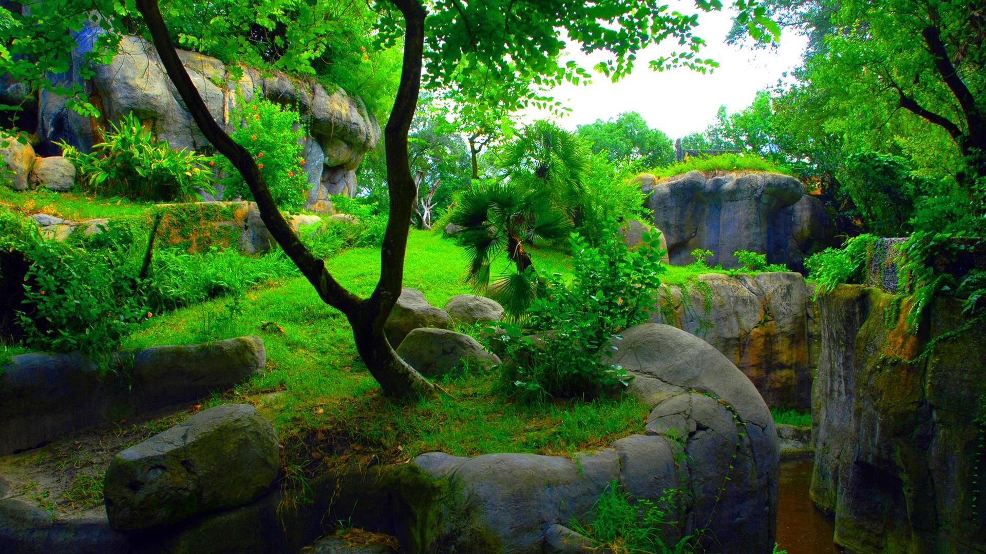 naturaleza fondos de pantalla hd 3d,naturaleza,paisaje natural,árbol,verde,rock