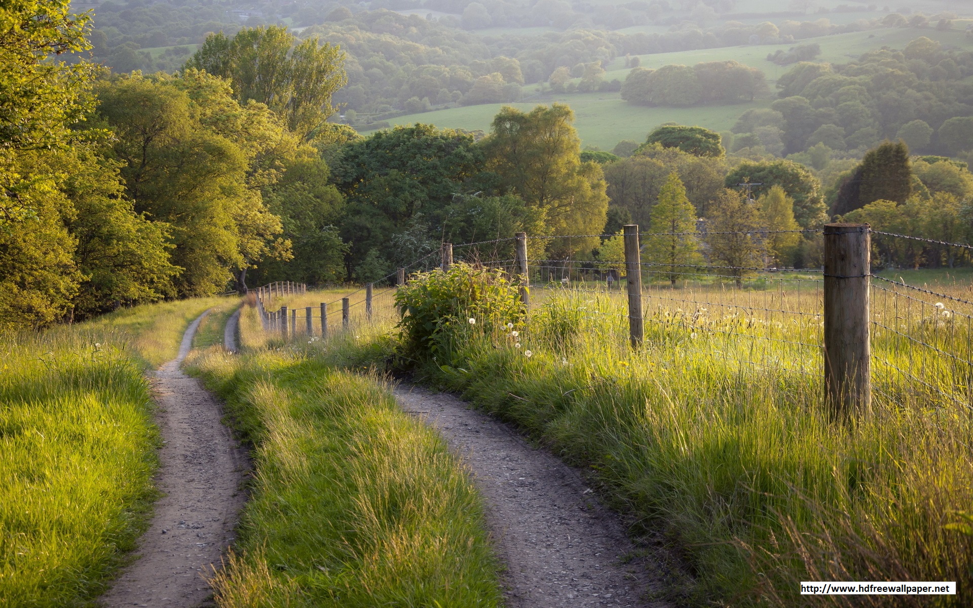 sfondi natura hd 3d,paesaggio naturale,natura,strada,albero,erba