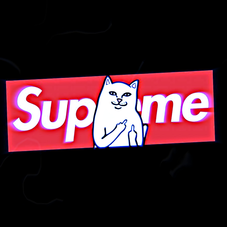 hypebeast wallpaper,katze,text,schriftart,kleine bis mittelgroße katzen,felidae