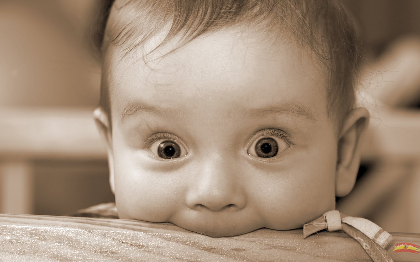 papier peint petit bébé,enfant,visage,bébé,fermer,tête