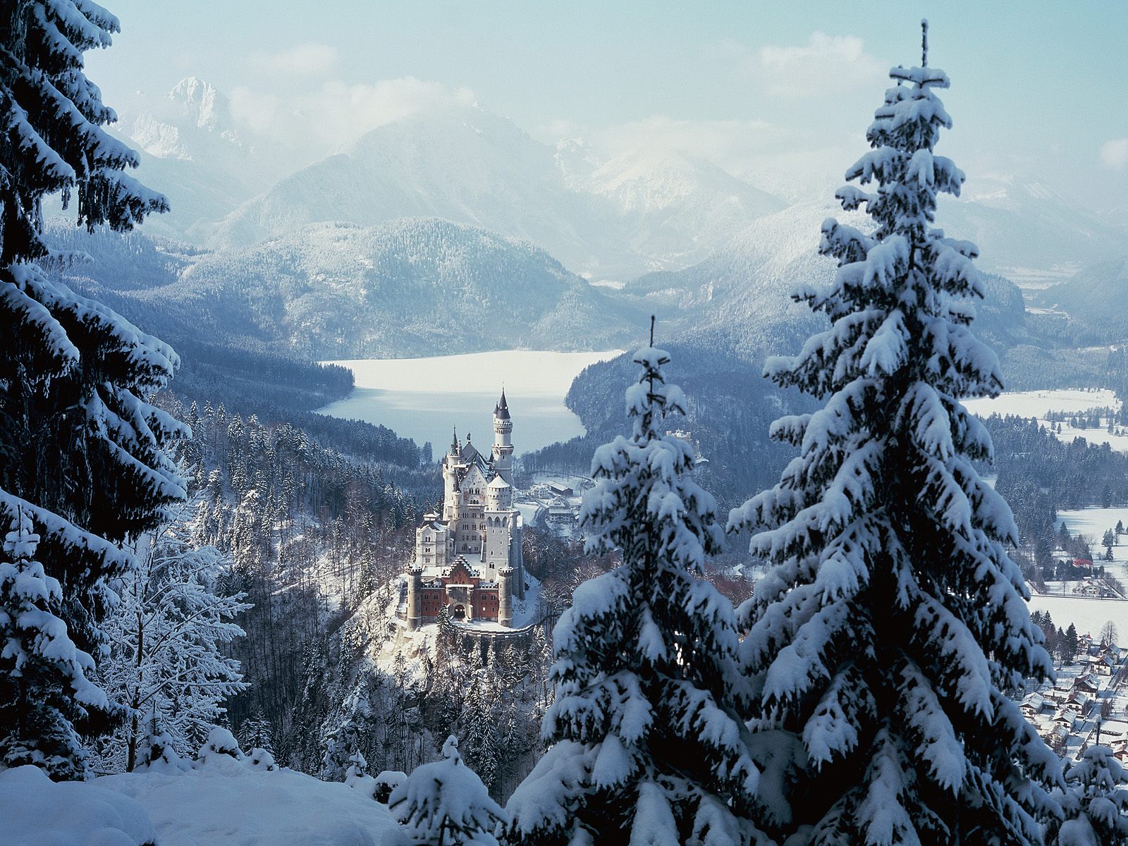 fond d'écran de pays des merveilles d'hiver,neige,hiver,arbre,montagne,épinette noire à feuilles courtes