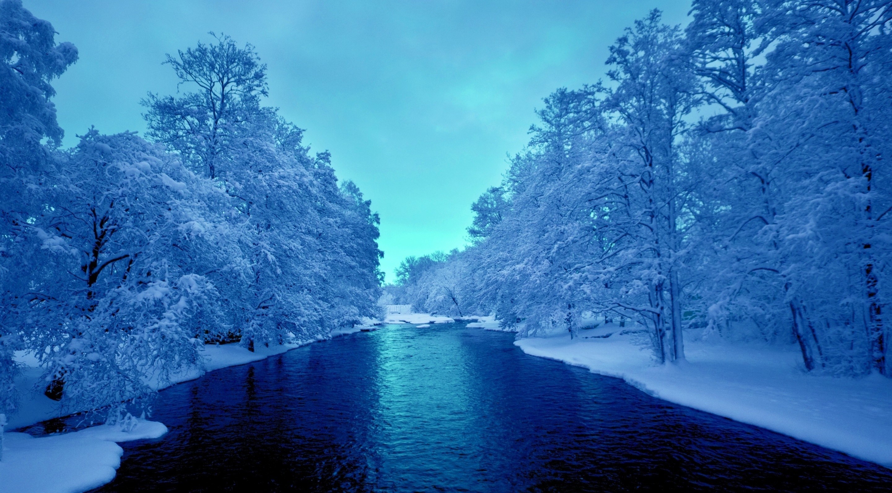 冬のワンダーランドの壁紙,自然の風景,冬,自然,雪,空