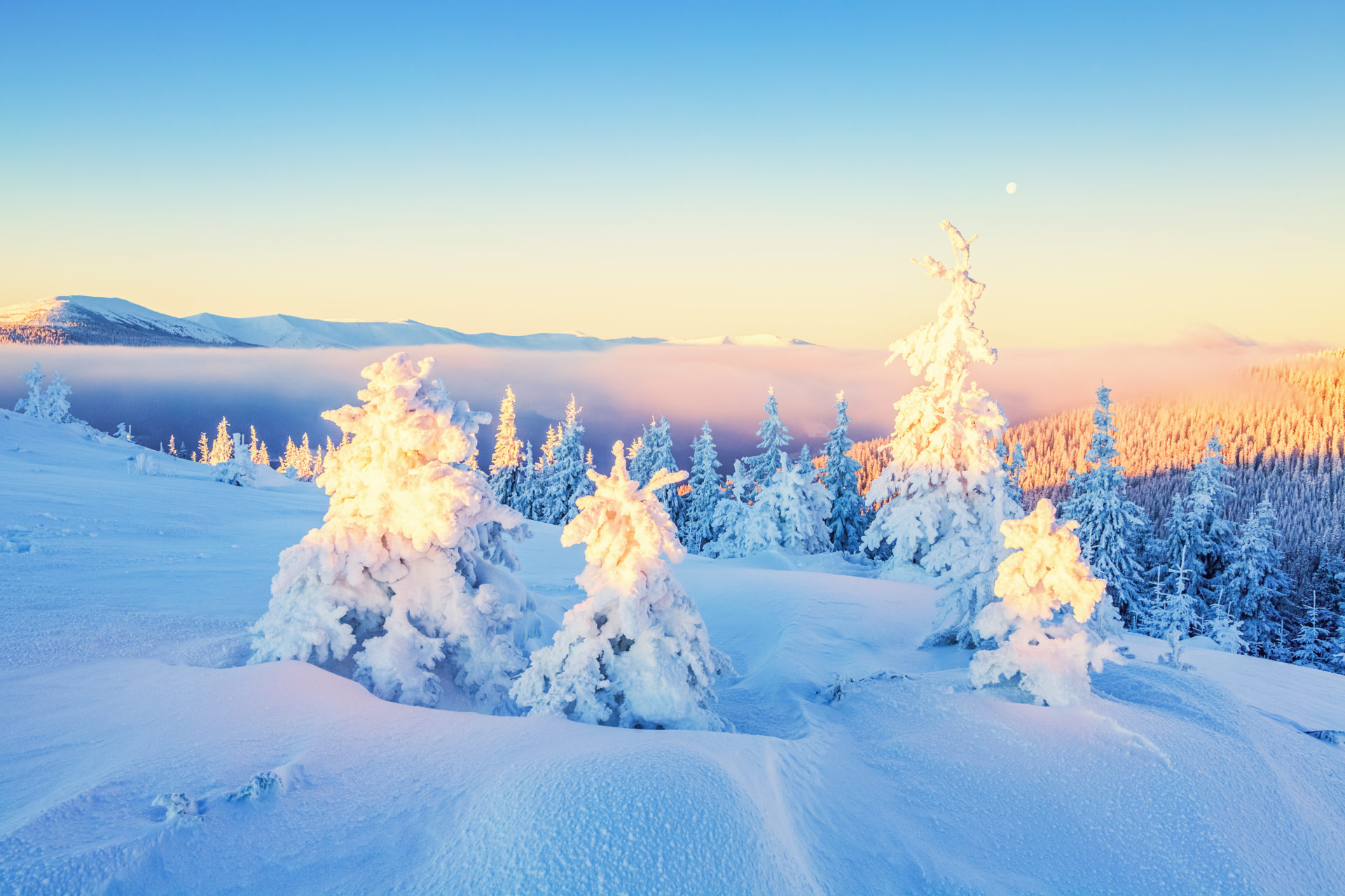 winter wonderland wallpaper,winter,sky,nature,snow,natural landscape