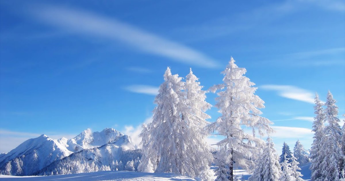 carta da parati invernale del paese delle meraviglie,inverno,neve,cielo,natura,albero