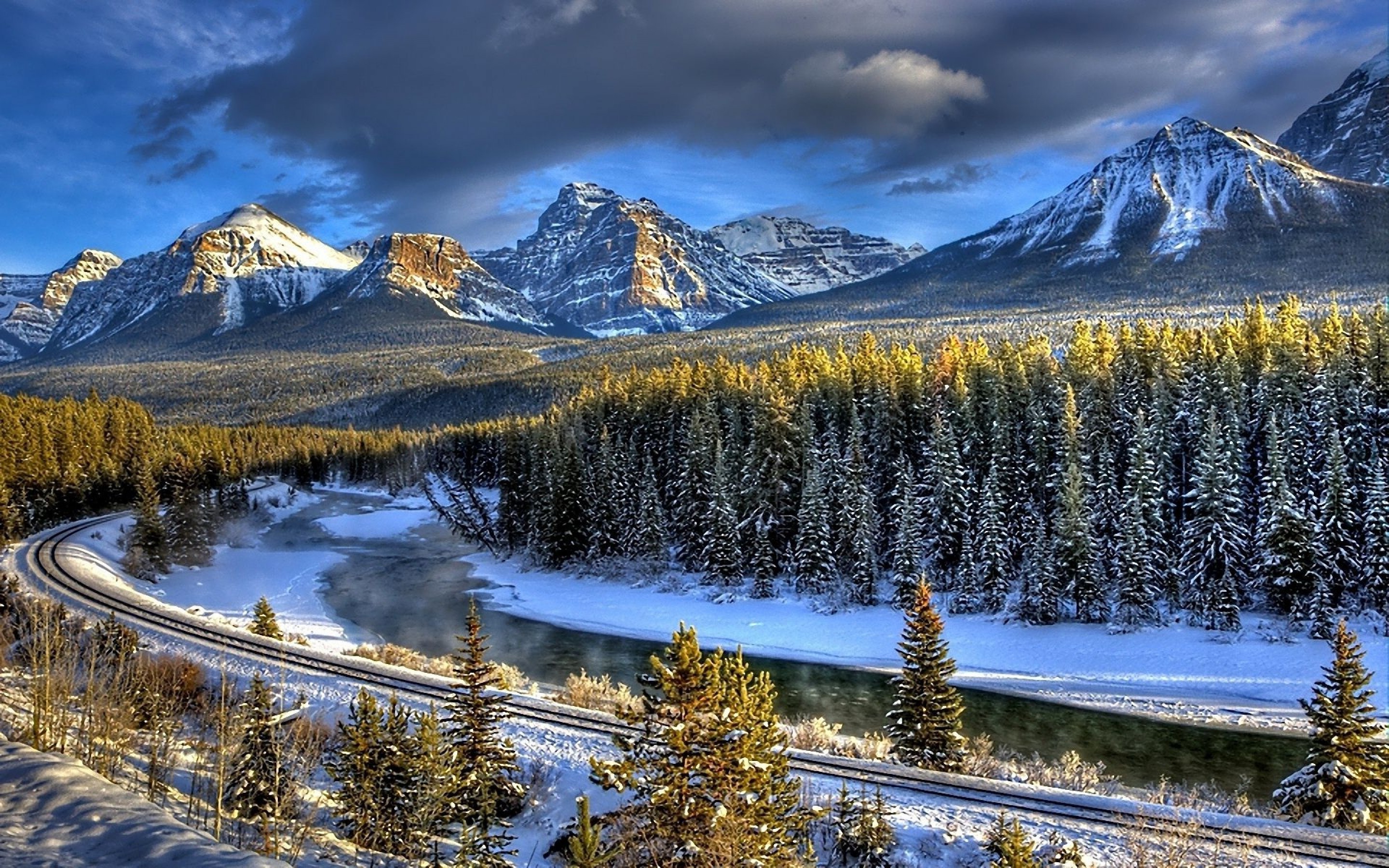 winter wonderland wallpaper,natural landscape,nature,mountain,larix lyalliisubalpine larch,mountainous landforms