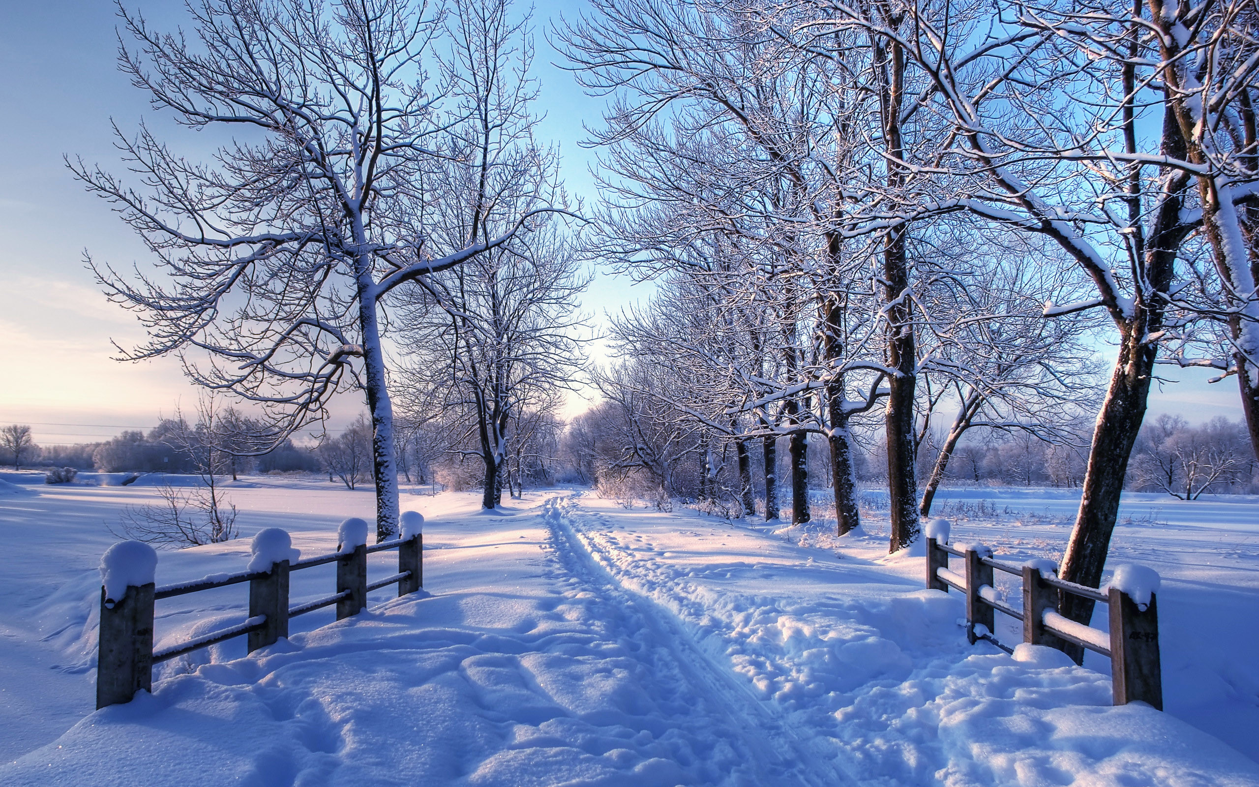 fond d'écran de pays des merveilles d'hiver,neige,hiver,la nature,paysage naturel,ciel