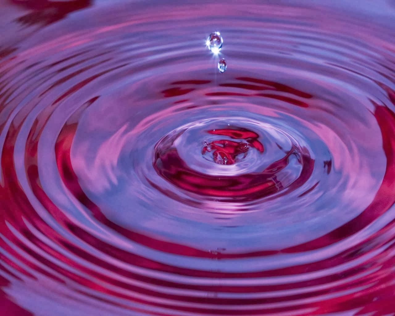 fond d'écran animé anime,laissez tomber,l'eau,liquide,ressources en eau,violet