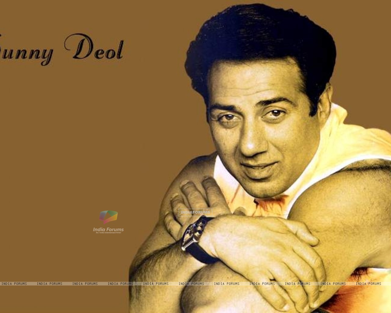 papel pintado soleado deol,frente,portada del álbum