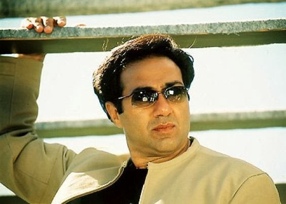 sonnige deol tapete,brillen,sonnenbrille,cool,brille