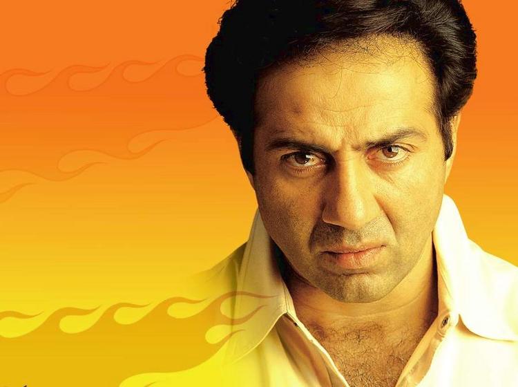 sonnige deol tapete,stirn,mensch,kiefer,film,erfundener charakter