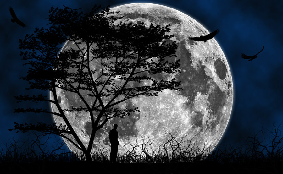 luna wallpaper hd,luna,cielo,natura,chiaro di luna,luna piena