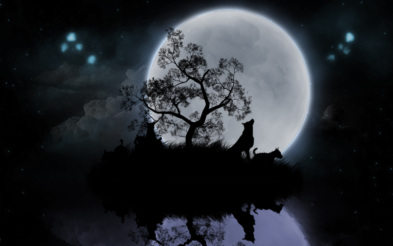luna wallpaper hd,cielo,chiaro di luna,natura,luna,leggero