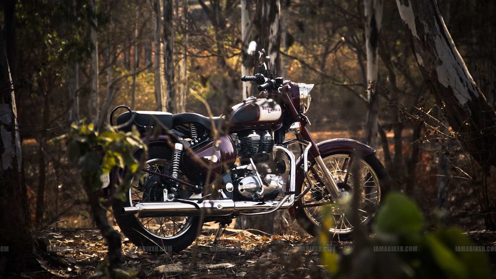 bala fondo de pantalla hd,vehículo terrestre,vehículo,vehículo de motor,motocicleta,árbol