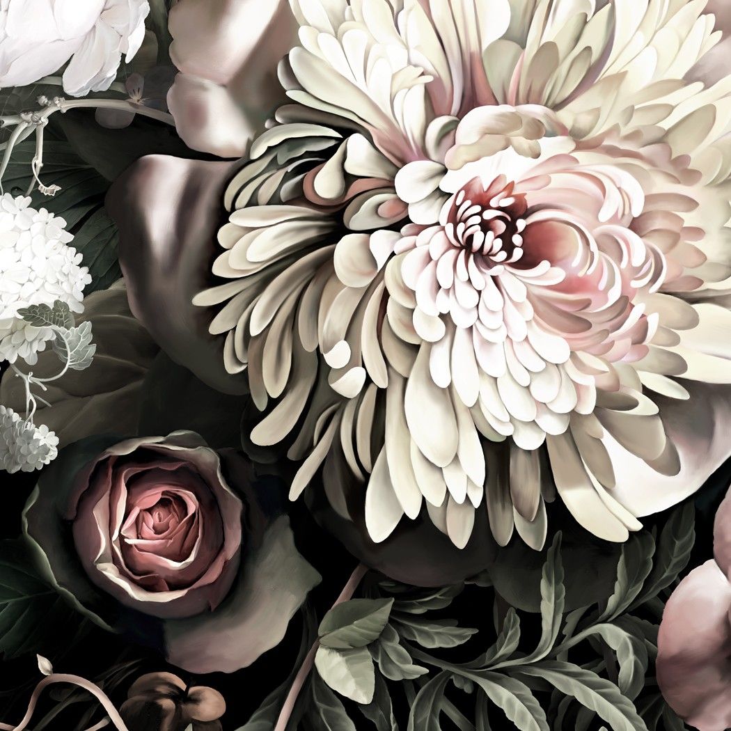 papel pintado de flores negras,flor,pétalo,planta,crisantemos,en blanco y negro