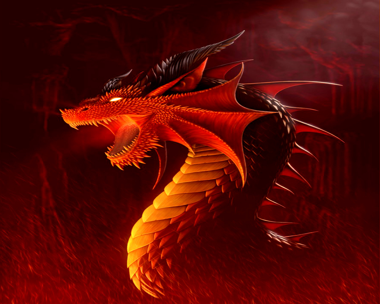 dragon wallpaper hd,dragon,red,fictional character,cg artwork,mythical creature