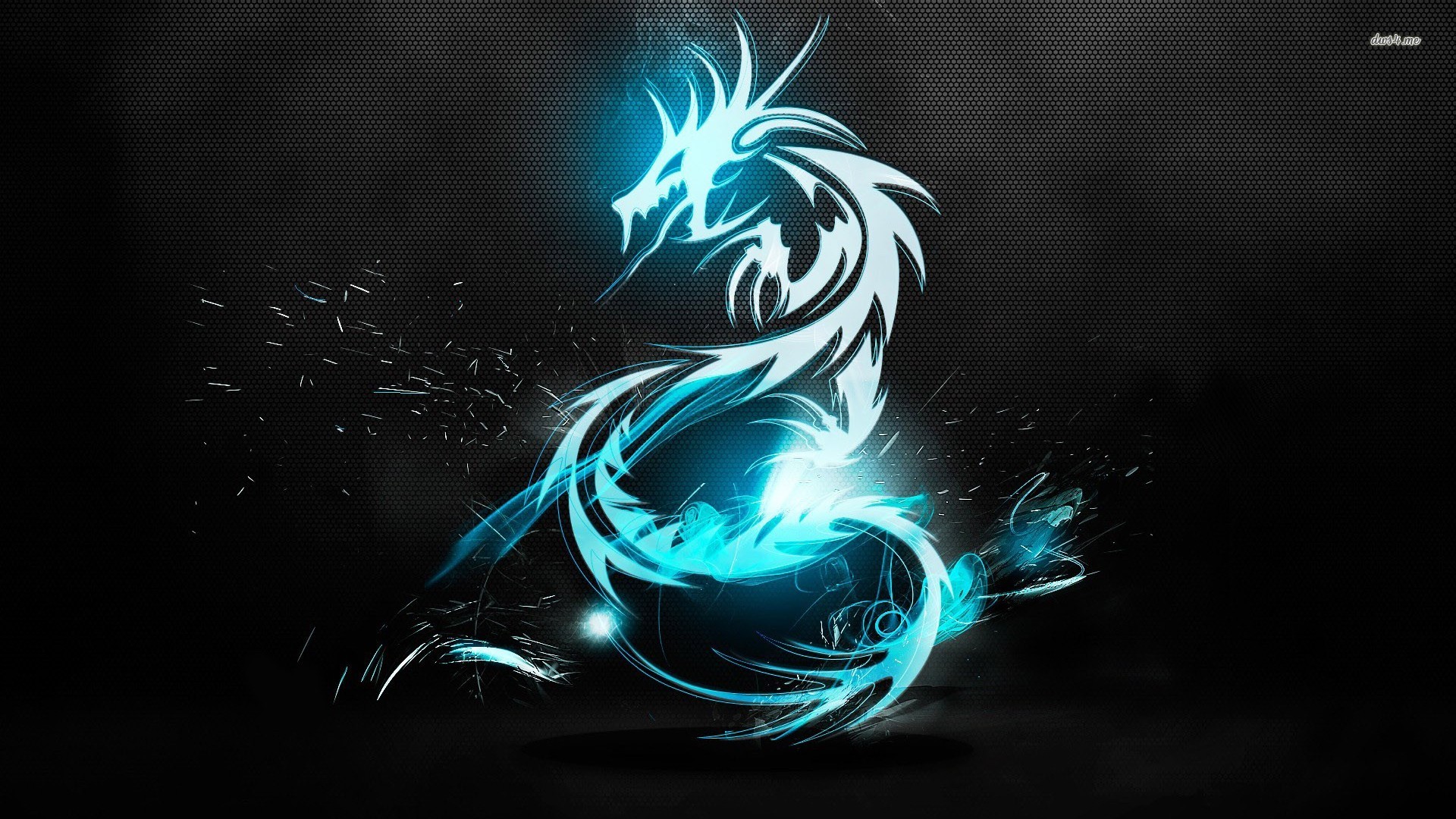 dragon wallpaper hd,graphic design,water,dragon,font,graphics