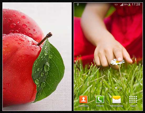 lg live wallpaper,blatt,pflanze,obst,gras,blume