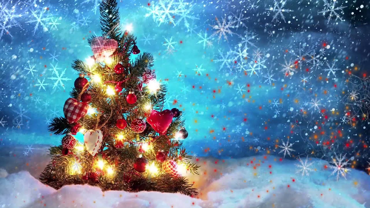 fondo de pantalla animado de navidad,árbol de navidad,árbol,abeto de colorado,navidad,nochebuena