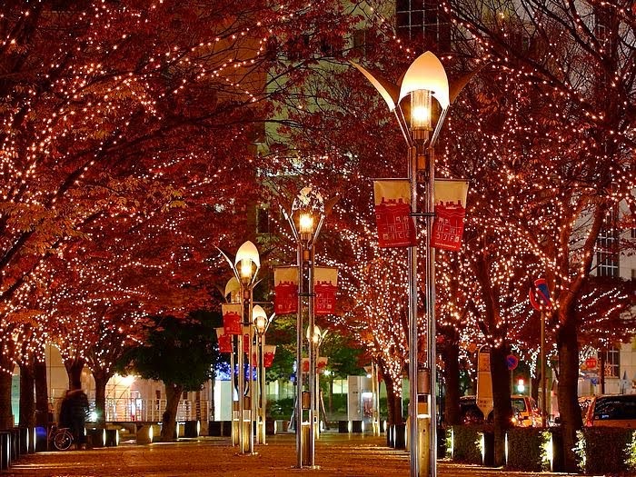 fondo de pantalla animado de navidad,árbol,encendiendo,luz de la calle,noche,lámpara