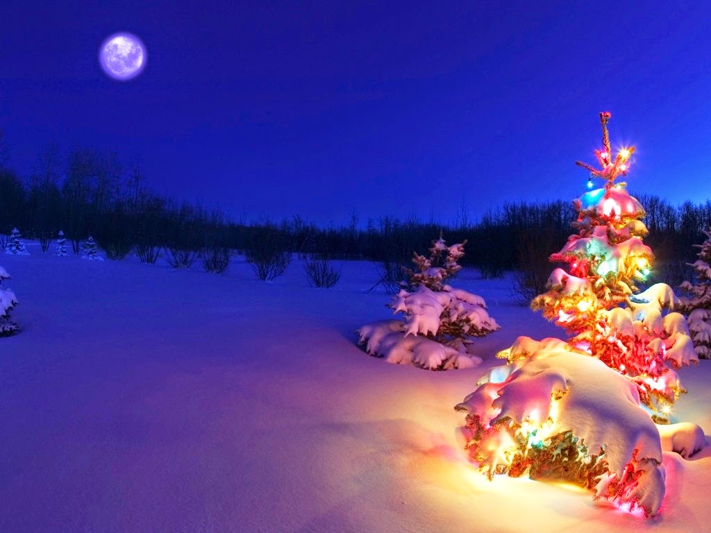 animated christmas wallpaper,christmas tree,nature,christmas decoration,light,winter