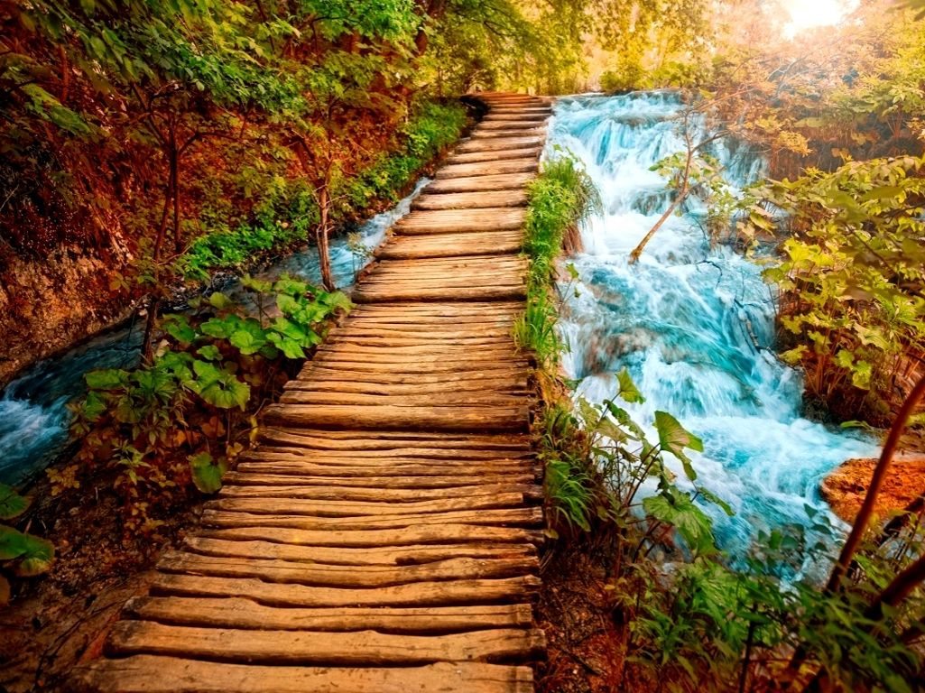 nature wallpapers hd free download,natural landscape,nature,water,boardwalk,walkway