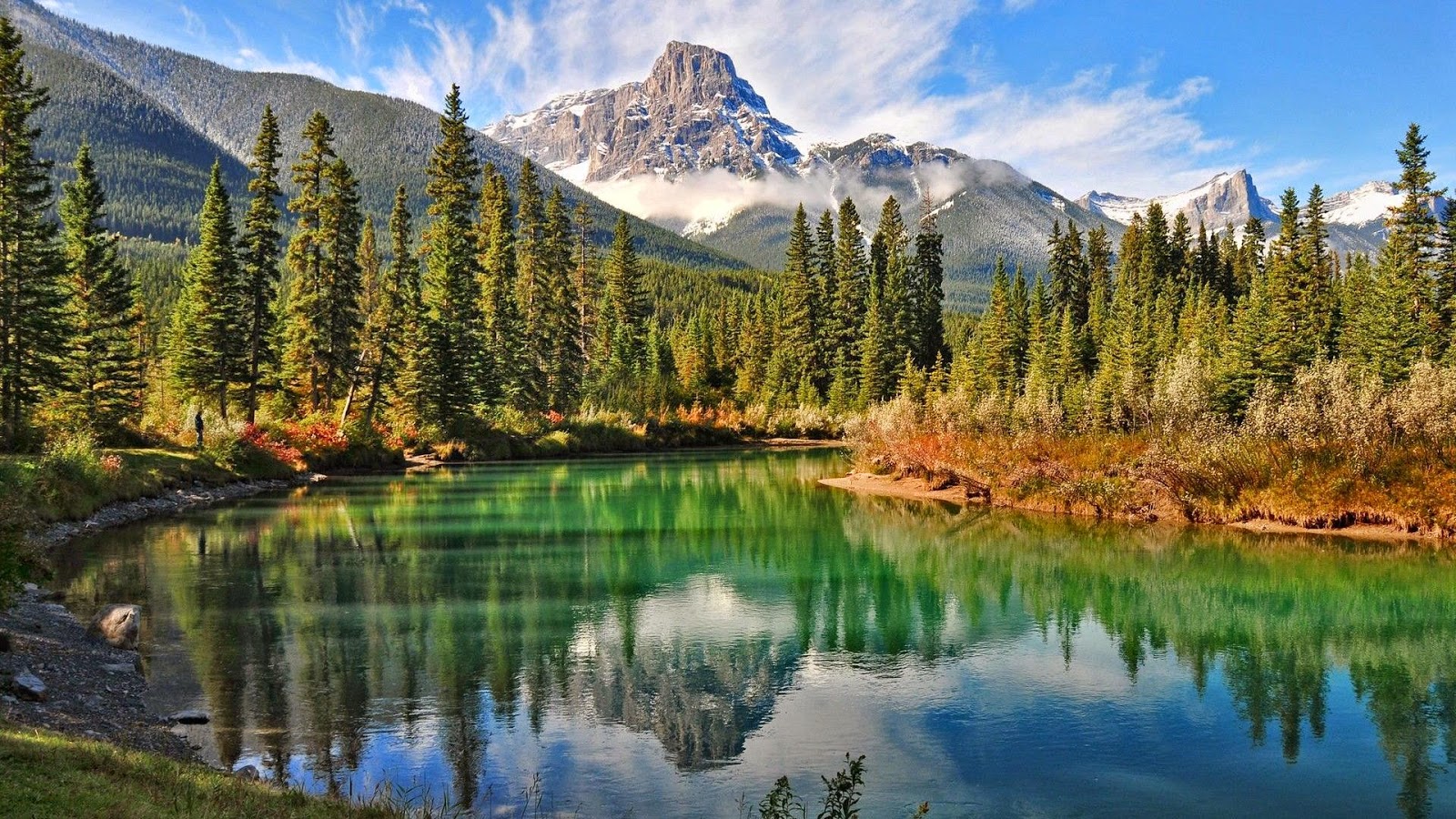 naturaleza fondos de pantalla hd descarga gratuita,paisaje natural,naturaleza,reflexión,alerce larix lyalliisubalpine,montaña