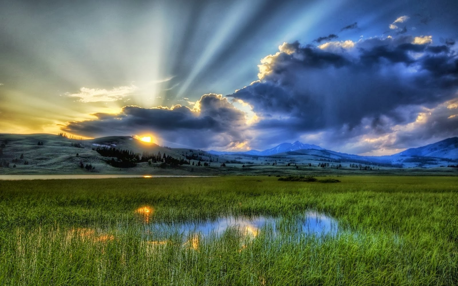 fonds d'écran nature hd téléchargement gratuit,paysage naturel,la nature,ciel,prairie,nuage