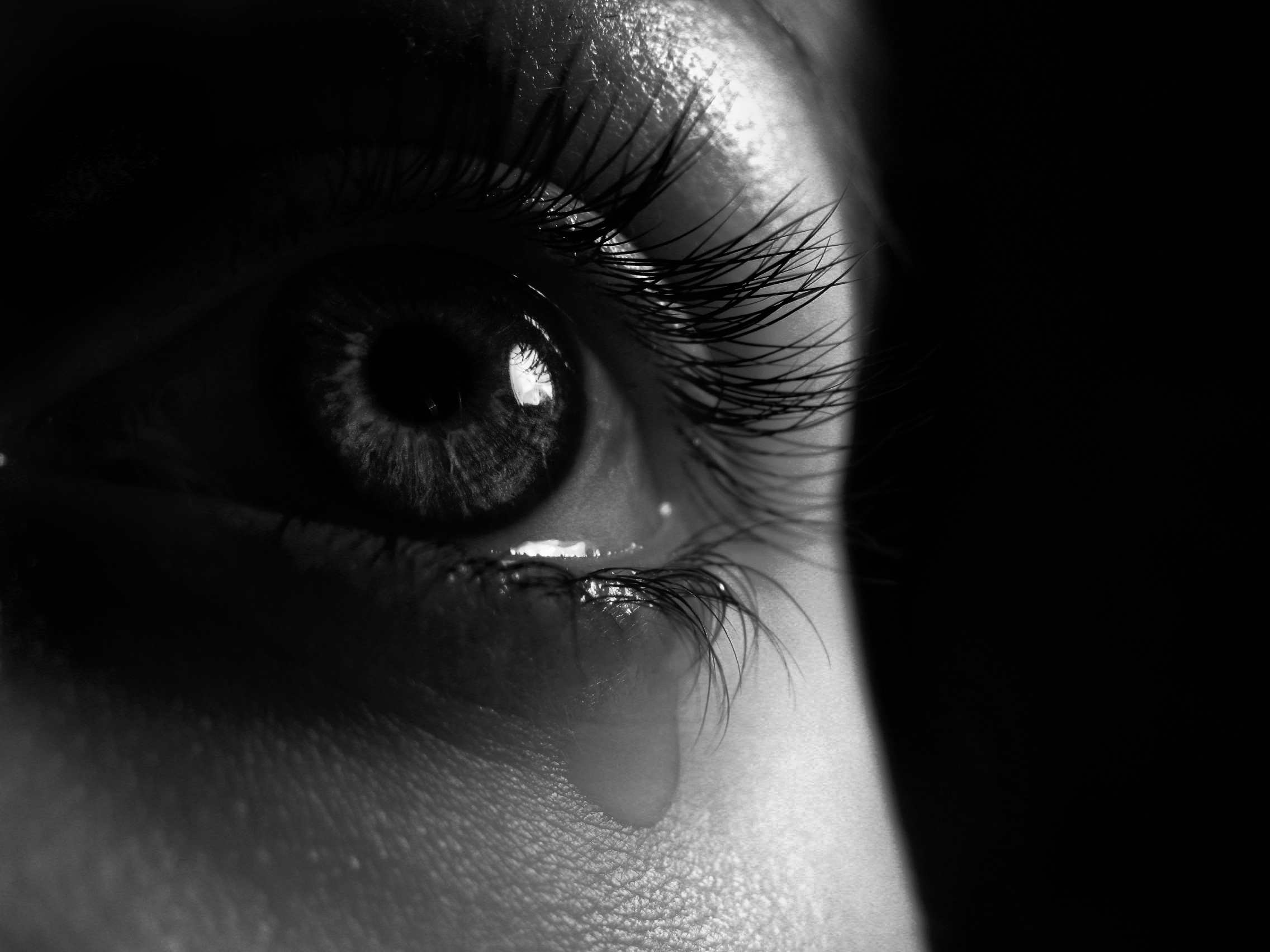 fondo de pantalla de lágrimas,cara,ojo,pestaña,negro,ceja
