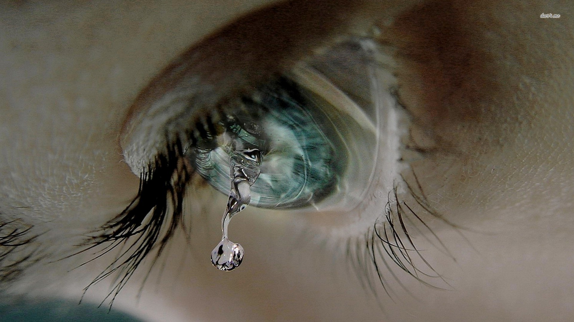 fond d'écran de larmes,cil,œil,fermer,l'eau,oreille