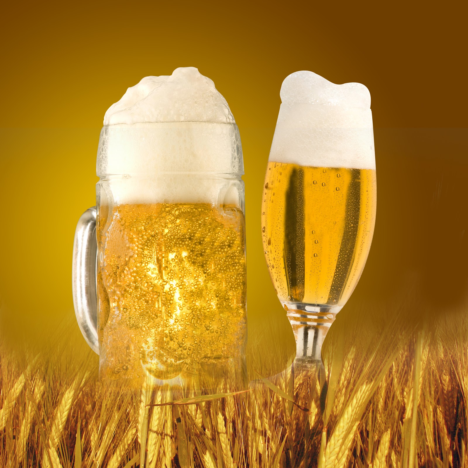 beer wallpaper,beer glass,wheat beer,beer,product,champagne cocktail