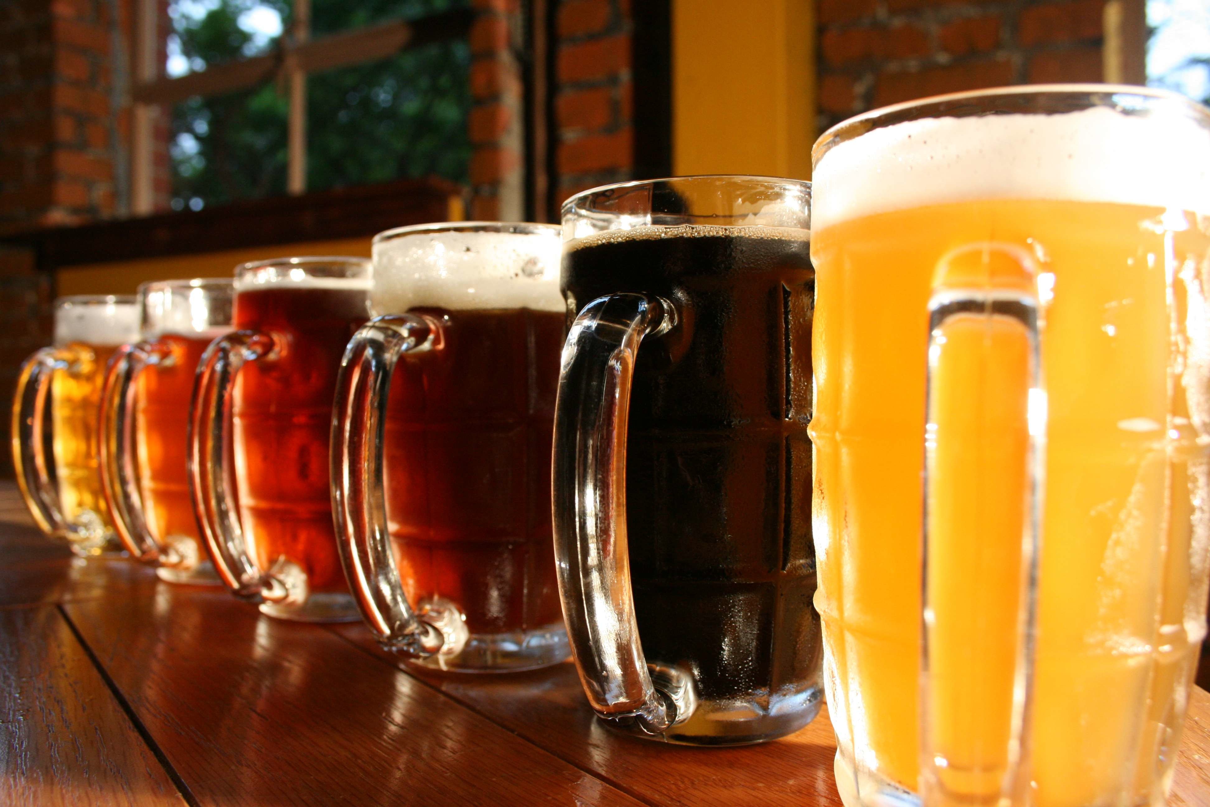 fondo de pantalla de cerveza,vaso de cerveza,beber,cerveza,bebida alcohólica,lager