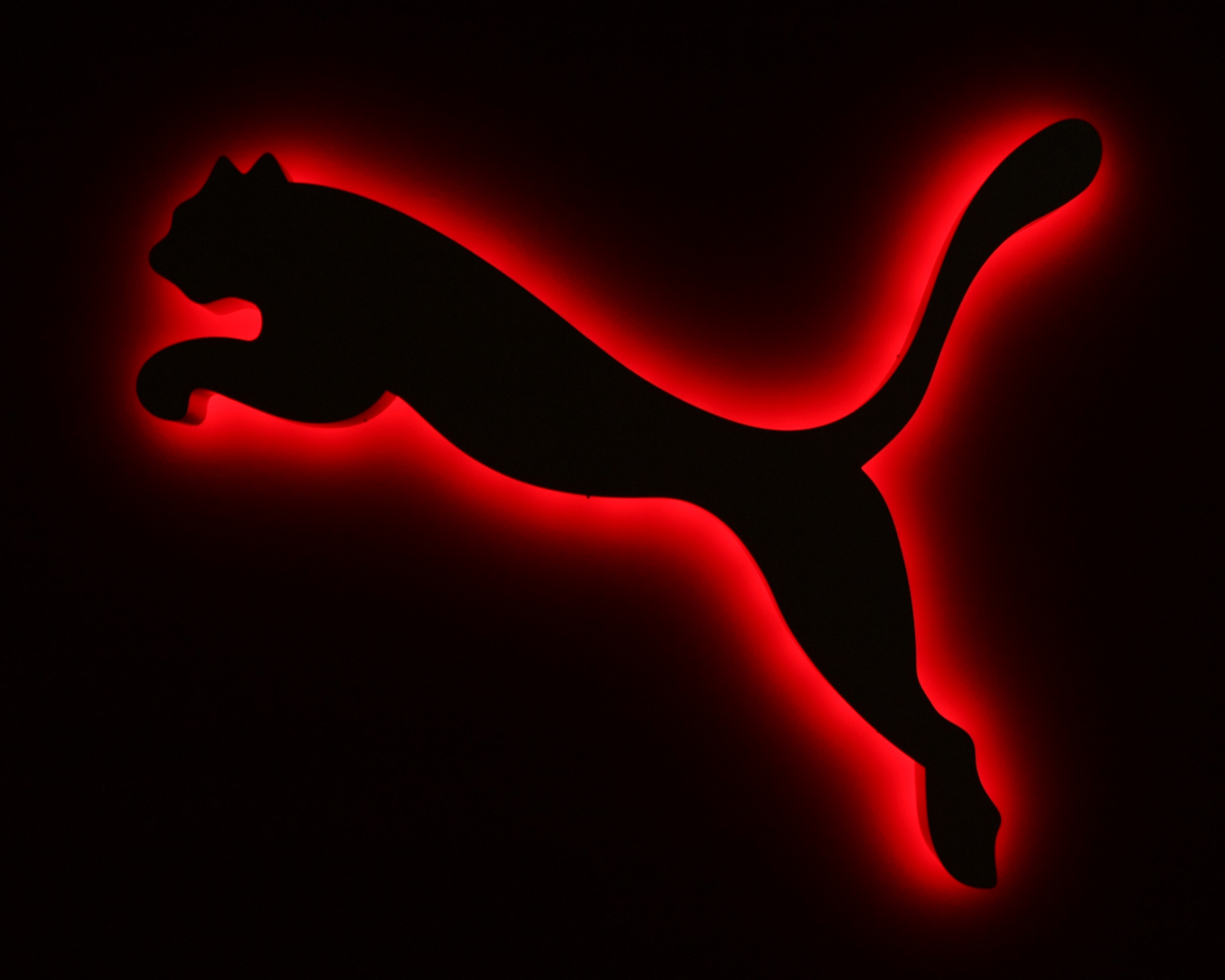 fondo de pantalla de puma,rojo