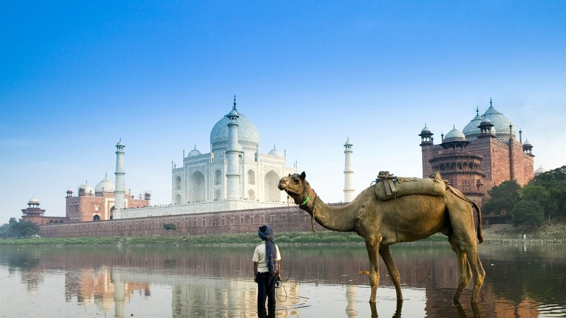 fondo de pantalla islámico hd 1080p,camello,camello árabe,turismo,paisaje,reflexión