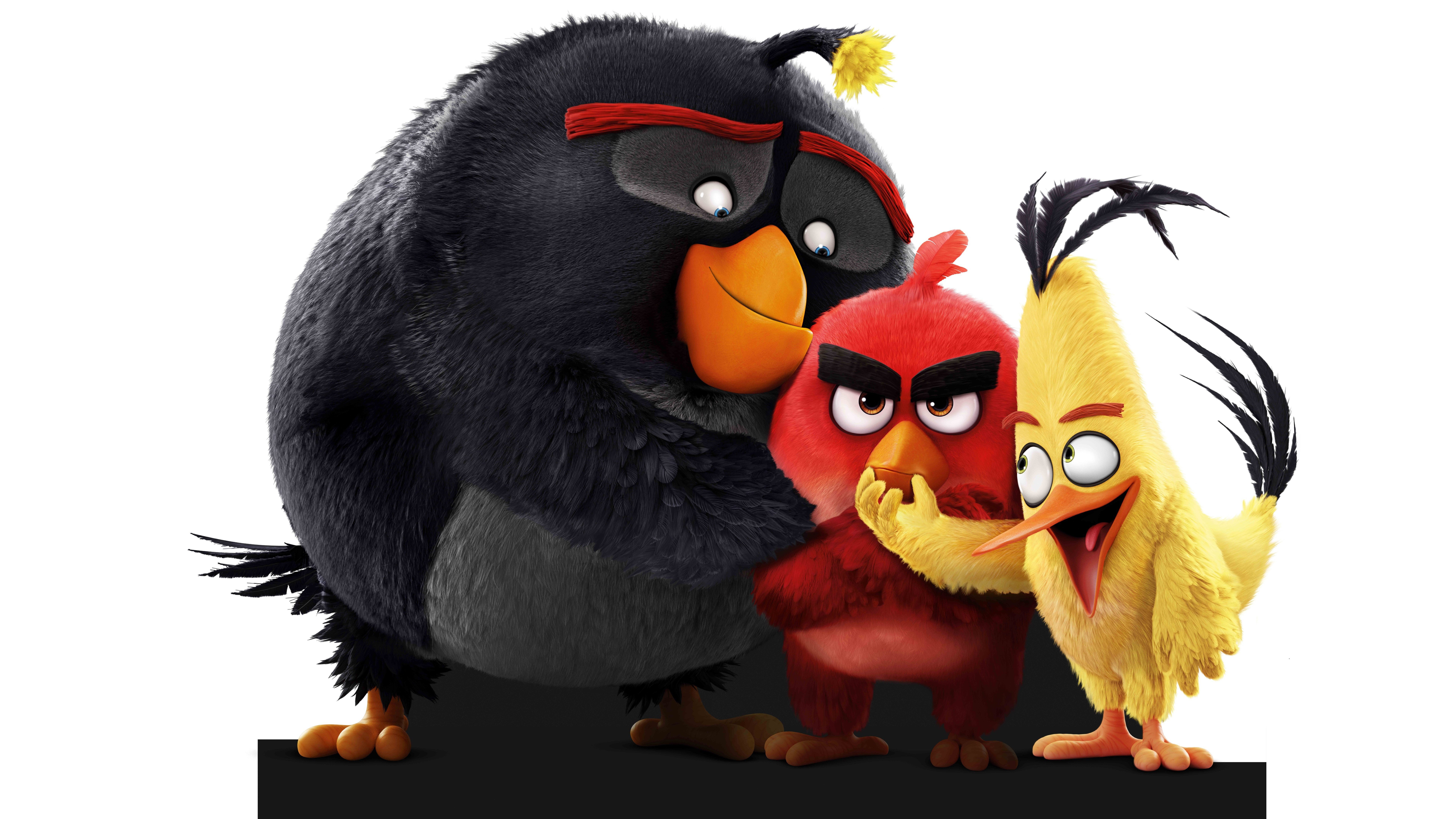 fond d'écran en colère,dessin animé,angry birds,dessin animé,animation,vautour
