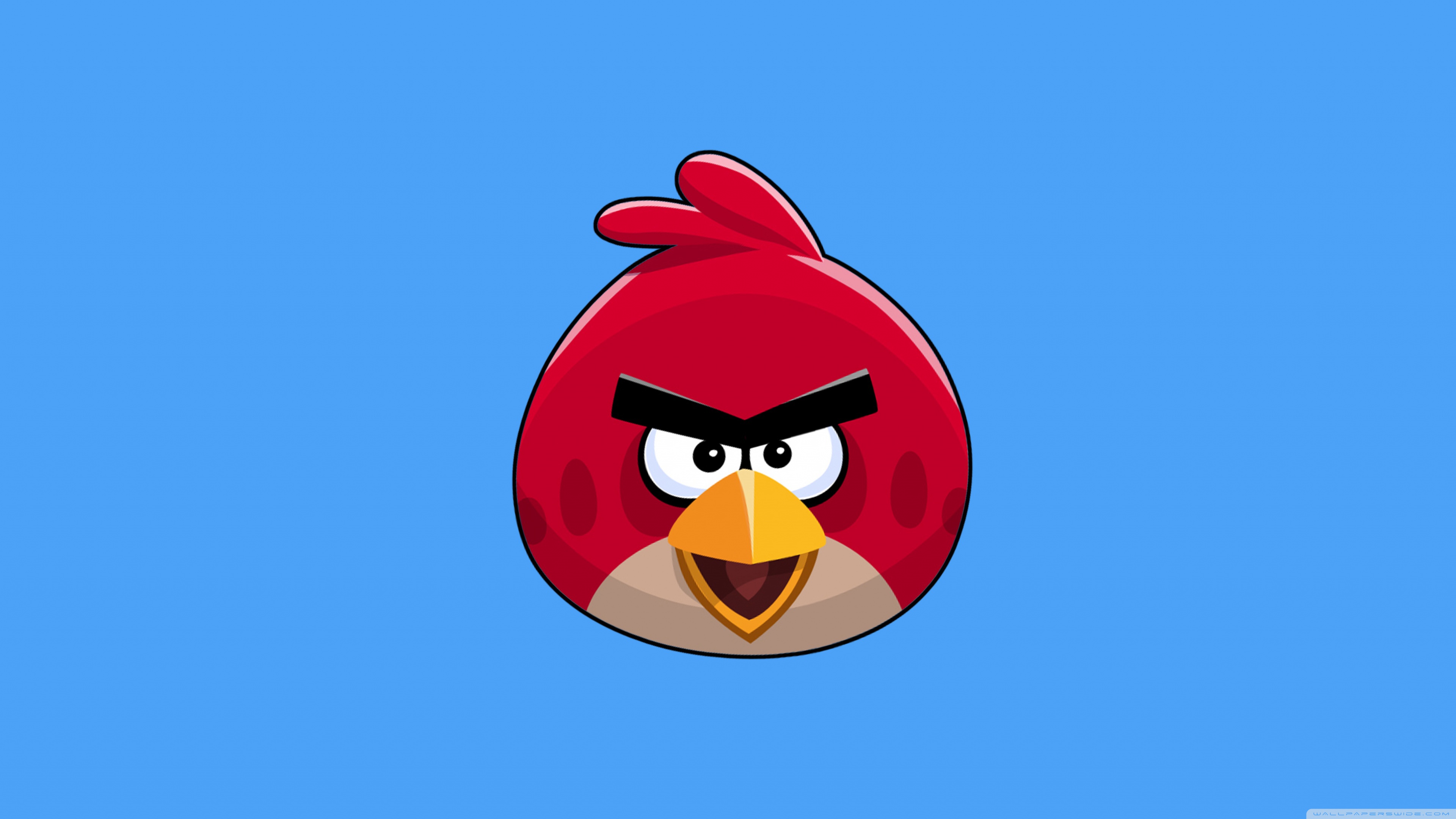 angry wallpaper,angry birds,cartoon,video game software,fictional character