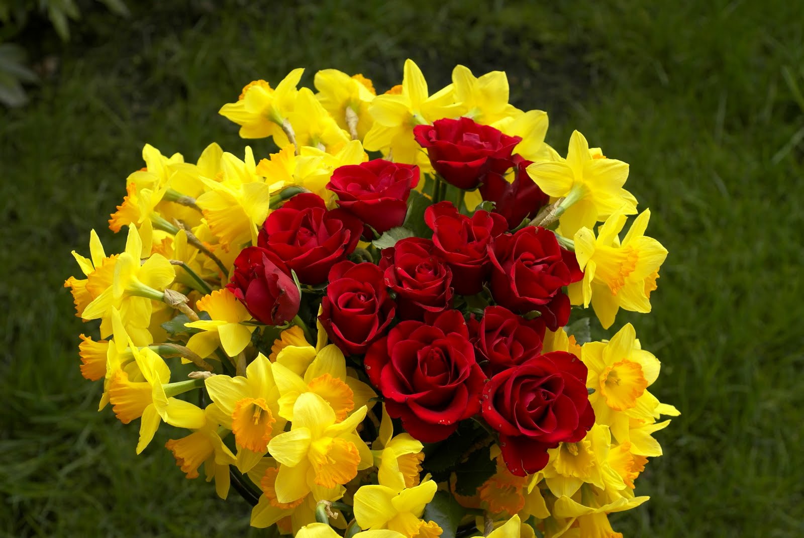 love flowers wallpapers,flower,flowering plant,yellow,bouquet,plant
